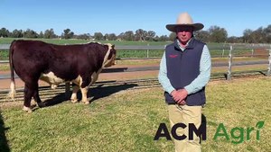 Kidman Herefords achieves on-property stud record price