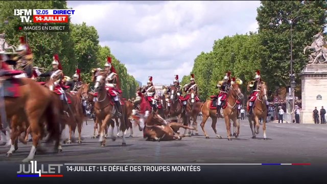 14-Juillet: un cheval chute lors du défilé des troupes montées sur les Champs-Élysées