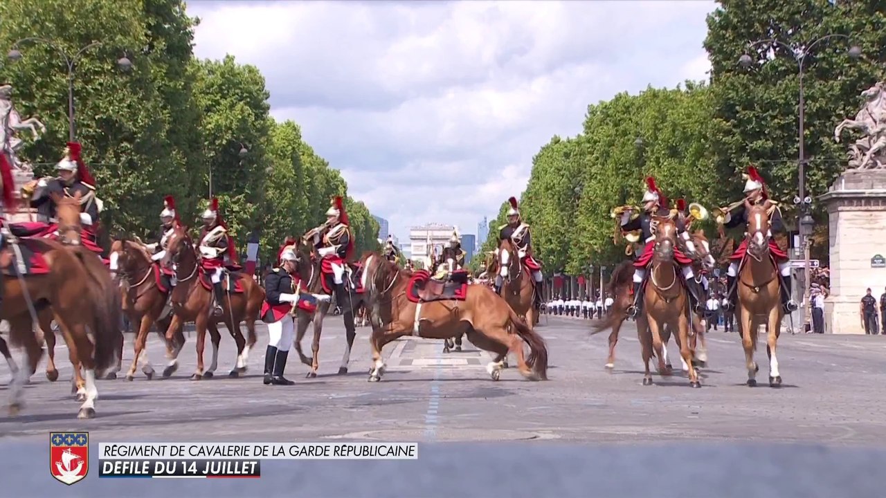 Un cheval a chuté pendant le défilé du régiment de cavalerie de la Garde républicaine