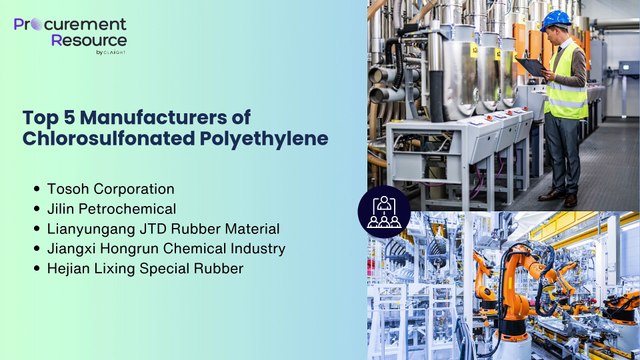 Chlorosulfonated Polyethylene Manufacturing Plant Project Report