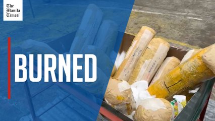 Police Destroy Seized Marijuana in Cordillera 🌿