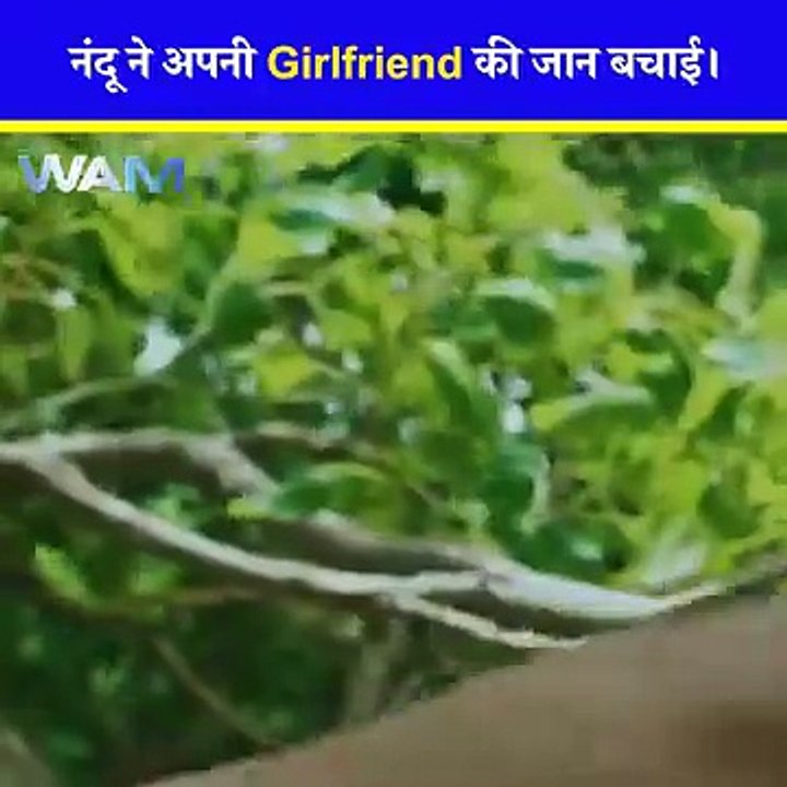 Best short video