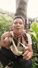 bird_sounds_#birdcall_#birds_#birdsong(360p)