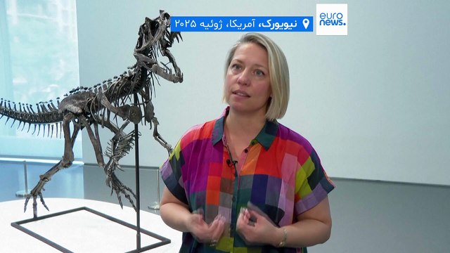 بزرگ‌ترین تکه از مریخ بر زمین به قیمت میلیون‌ها دلار به حراج گذاشته می‌شود