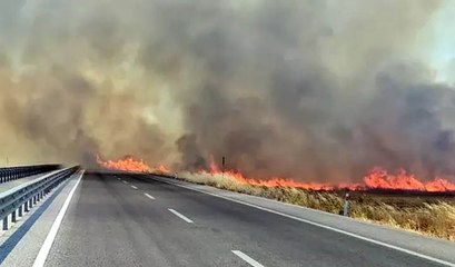 Edirne'de anız yangını! Dumanlar gökyüzünü kapladı