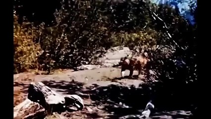 El Último Trofeo  Serie del Oeste en español  acción, western  1959 HD