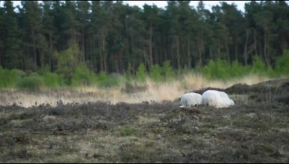 🌅 Oración de la mañana | Martes 15 de julio | “Hoy elijo caminar en obediencia y confianza” 🙏✨