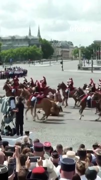 Un cheval et son cavalier chutent lors du défilé