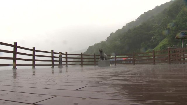 [날씨] 내일까지 영동 100mm 호우 더 온다...내륙도 국지성 호우 / YTN