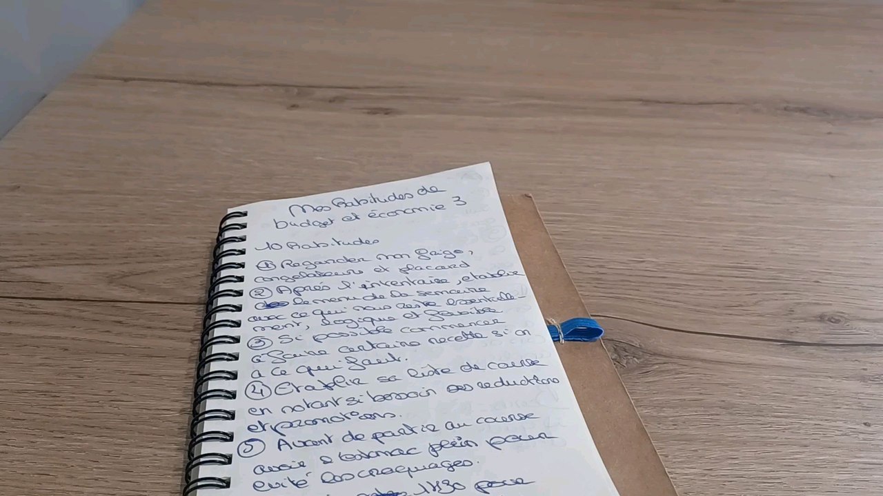 Mes habitudes de budget et économie volume 3