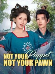 Not Your Puppet, Not Your Pawn