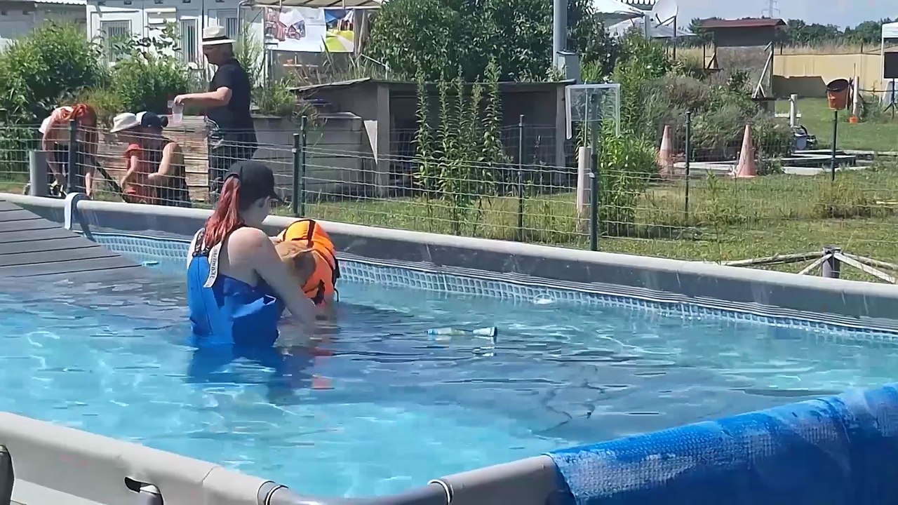 Rund um den Hund und mehr - Sommerfest der Hundeschule Mannsberger