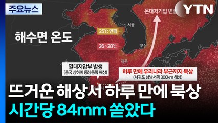 뜨거운 해상서 하루 만에 북상...시간당 84mm 쏟은 열대저기압 / YTN