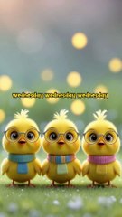 Mama Chicken Teaches Days of the Week | Funny Chicken Cartoon for Kids