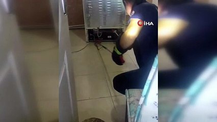 Buzdolabı motoruna giren yılanı itfaiye çıkardı