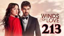 Ruzgarli Tepe - Episode 213 - Full Free