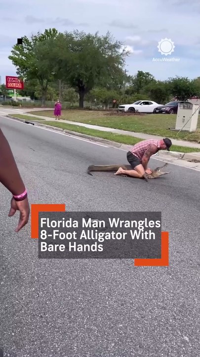 Florida Man Wrestles Alligator As Police Watch