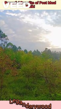 Powerful benefits of post meal walk | Boost your health | walk after eating