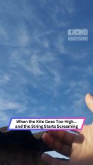 Kite Flies Too High… Then the String Turns into a Horror Film!