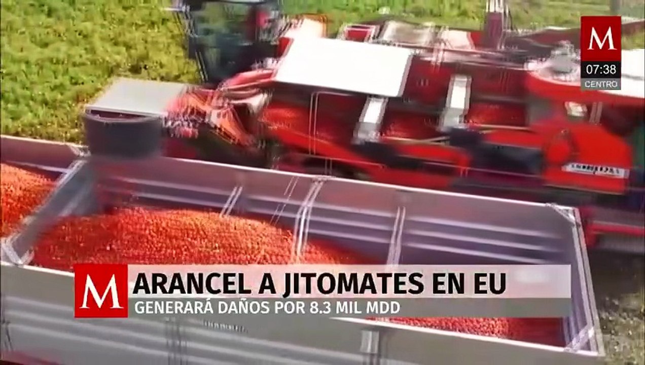 Estados Unidos aplica arancel a exportación de jitomate mexicano