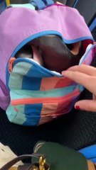 a day in my life as a 23 year old part time influencer in Chicago