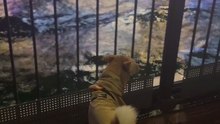 stare blankly at the water