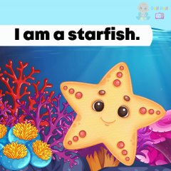 Strange Ocean Animals & How to Save Marine Life | Learn About Sea Turtles, Deep Sea Creatures & More |Education Videos | Preschool Learning |