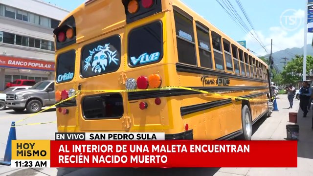 Descubren cadáver de recién nacido dentro de lonchera en bus de SPS