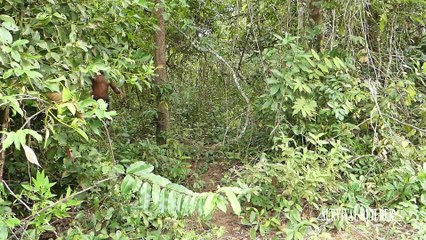 Survival Builder Build Natural Water Filter Tank