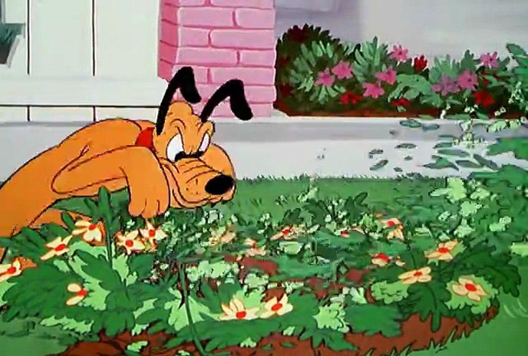 Pluto and the Gopher (1950)
