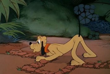 Pluto and the Armadillo (1943)