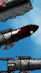 Xolo - Terapia de shock