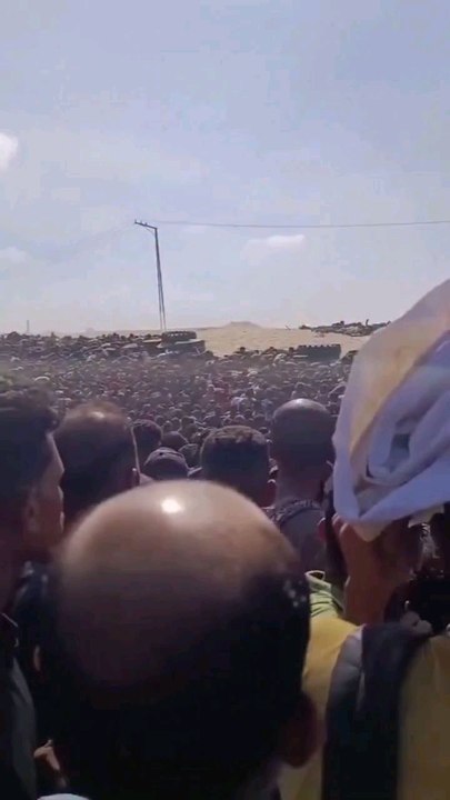 Rafa, l'armée israélienne, tire au moment où Les gens viennent se ravitailler