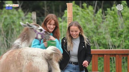 Le Goût Hauts-de-France : entre faune et flore en baie de Somme avec Amandine Delaplace
