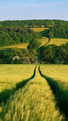 "Nature at its finest — panoramic mountain views that calm the soul."