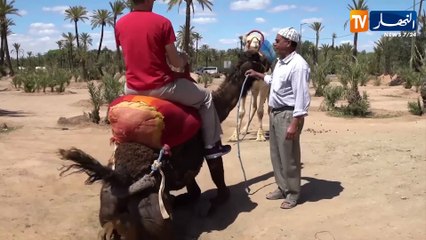 "السياحة الجنسية في المغرب ..جسد بديل للوطن ينخره" السيدا