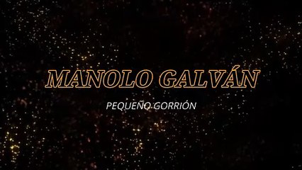 Manolo Galván - Pequeño gorrión (KARAOKE)