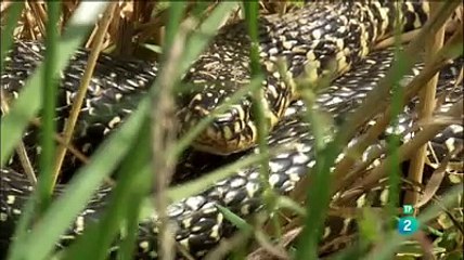 Documental Mirando Al Atlántico: Descubre España Y Portugal