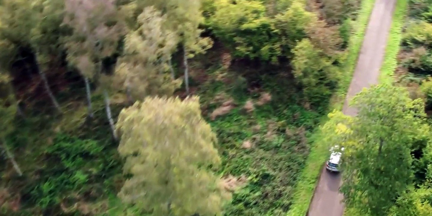 BAIT Trailer