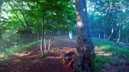 恋愛禁止 | 2025年新作ドラマ公式予告✨