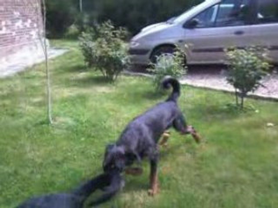 bartock rencontre cylane