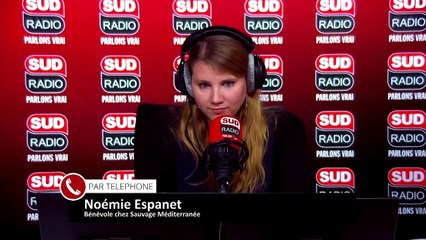 La Monnaie Sauvage : du plastique ramassé aux gestes écologiques récompensés