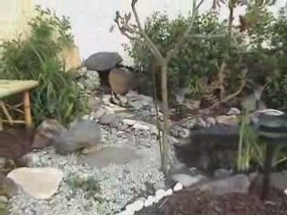 Mon Jardin