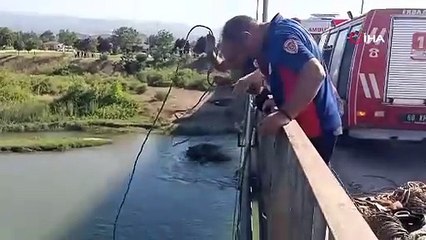 Tokat'ta korku dolu anlar... Serinlemek için girdiği suda mahsur kaldı