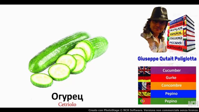 Visual Dict with Audio Огурец, Баржа, Гитара, Цикада