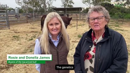 Bull tops 2025 Merewah Poll Herefords sale at $32,000