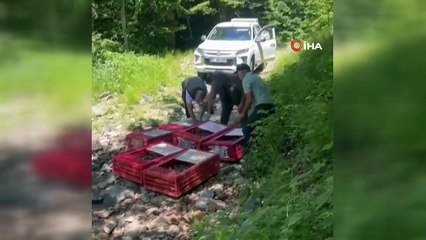 Kene ile mücadele timleri doğaya salındı