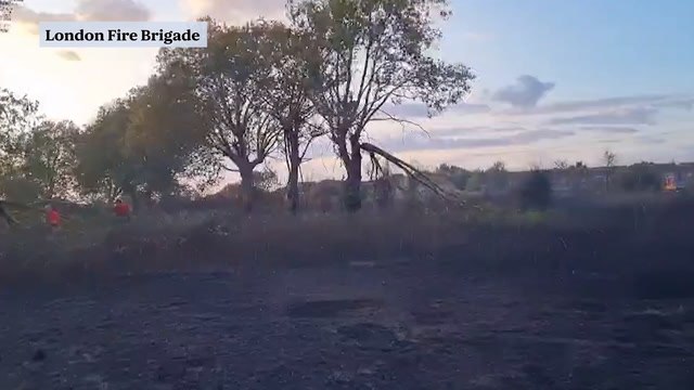 Firefighters battle to put out three wildfires in just three hours in east London as residents evacuated