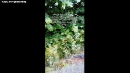 30 Terrifying Appalachian Trail Encounters Captured on Camera