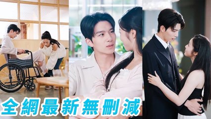 Everyone Thought She’d Dump the Bankrupt Paralyzed CEO, but She Stayed and Tamed Him Back to Glory